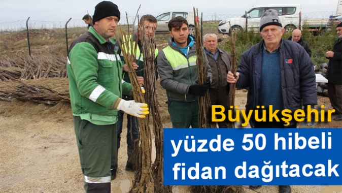 Büyükşehir, yüzde 50 hibeli fidan dağıtacak