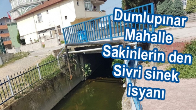 Dumlupınar Mahalle Sakinlerin den Sivri sinek isyanı