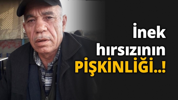 İnek hırsızının PİŞKİNLİĞİ..!