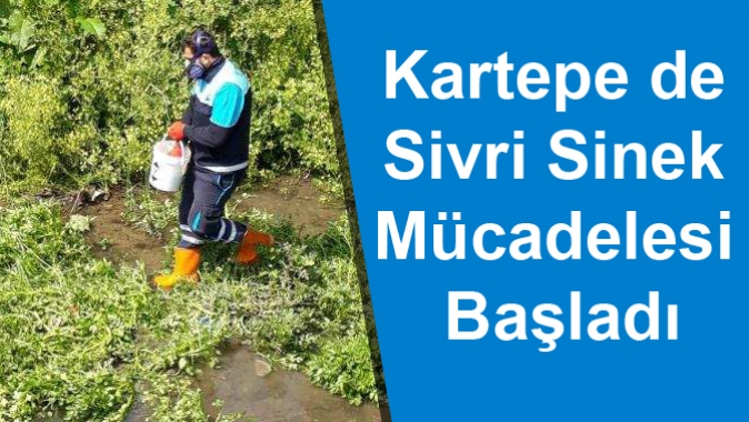 Kartepe de Sivri Sinek Mücadelesi Başladı