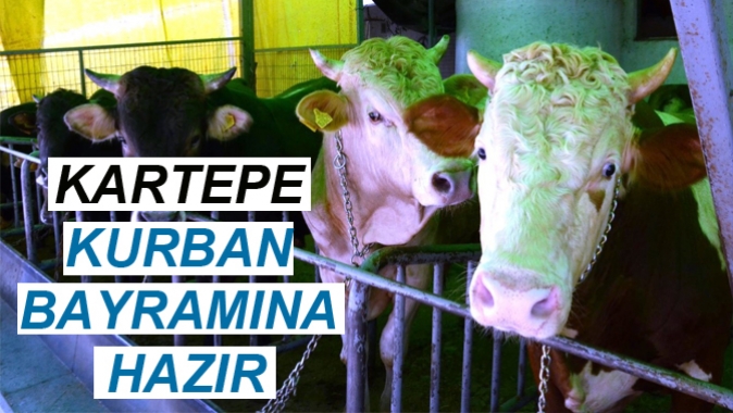 KARTEPE KURBAN BAYRAMINA HAZIR