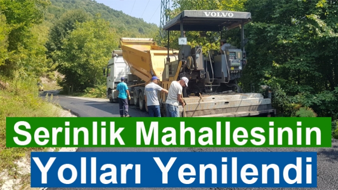 Serinlik Mahallesinin Yolları Yenilendi