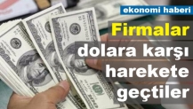 Firmalar dolara karşı harekete geçtiler