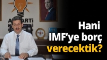 Hani IMF ye borc verektik