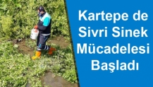 Kartepe de Sivri Sinek Mücadelesi Başladı