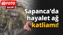 Sapanca Gölün de ki Ağ Rezaleti