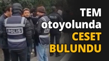 TEM otoyolunda CESET BULUNDU