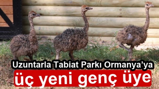 Uzuntarla Tabiat Parkı Ormanya’ya üç yeni genç üye