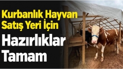 Kurbanlık Hayvan Satış Yeri İçin Hazırlıklar Tamam